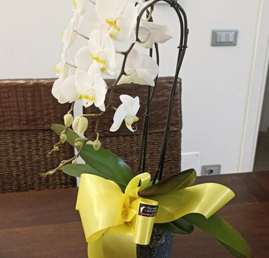 Casa Nell'Arte Villa Pietrasanta