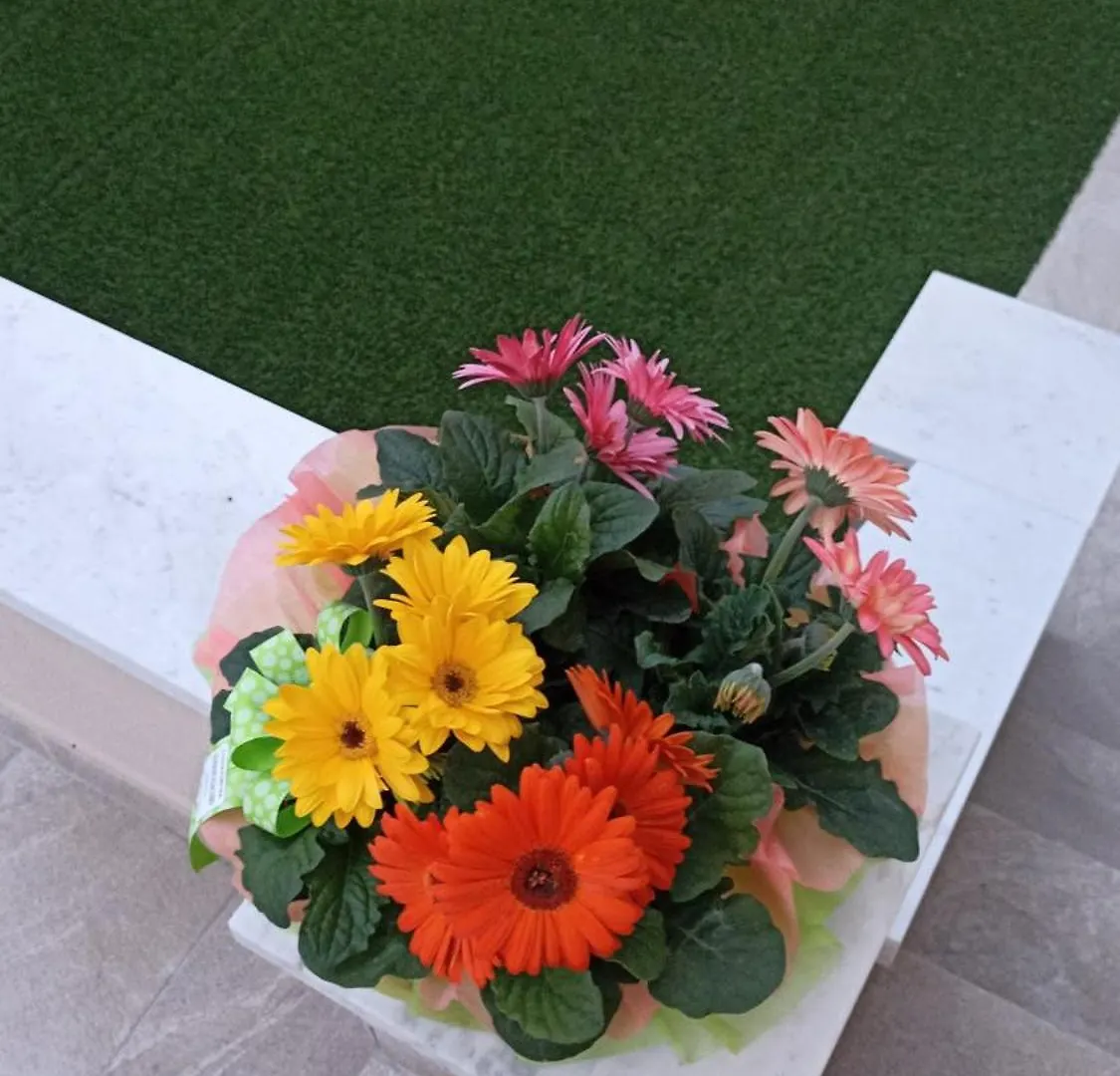 Casa Nell'Arte Villa Pietrasanta